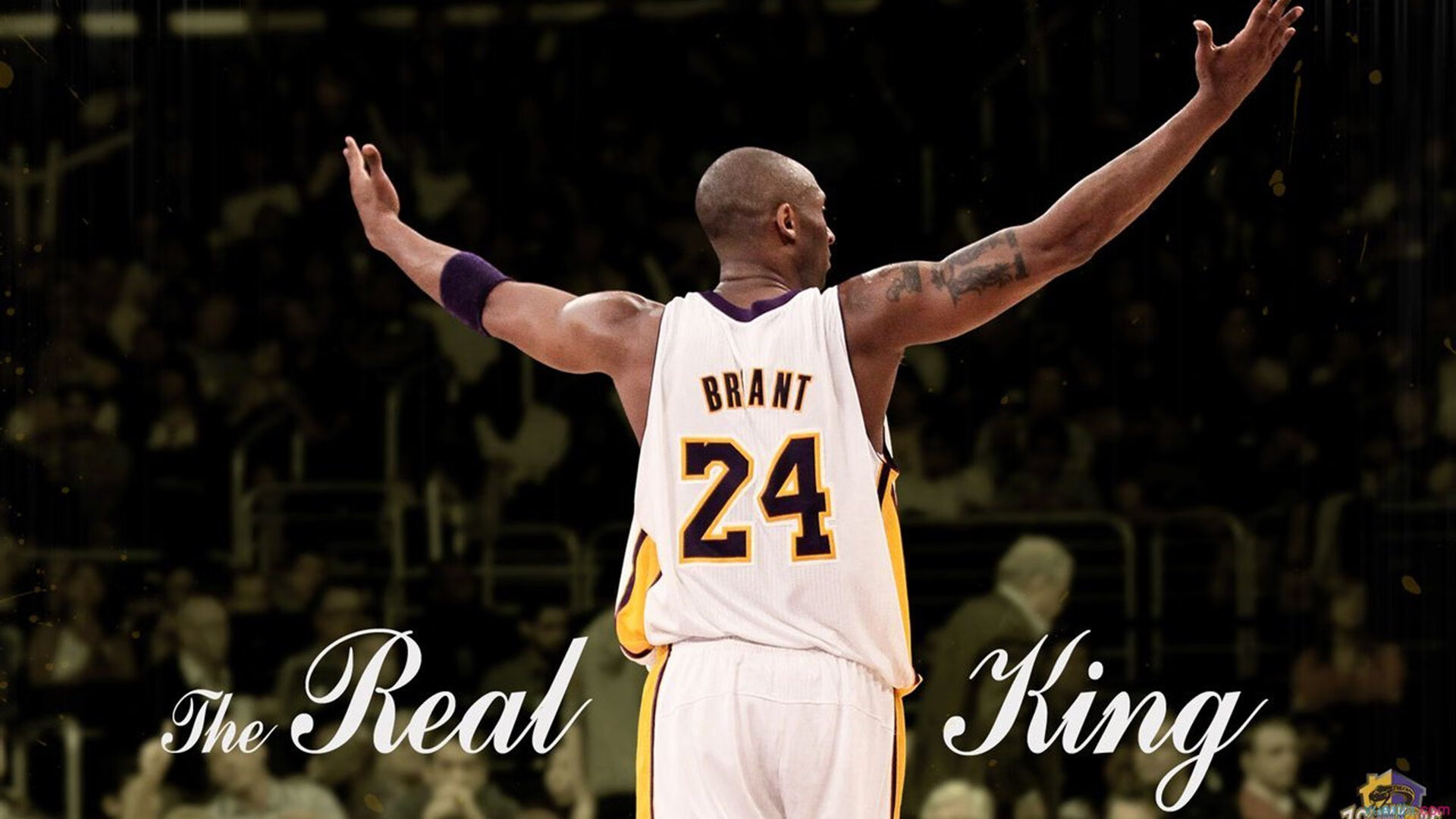 球盟会平台-纳达尔新冠检测阳性